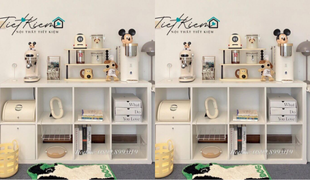 kệ sách tổ ong và xu hướng thịnh hành của genz