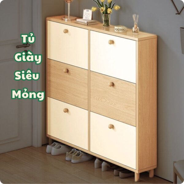 Mua tủ giày cánh lùa tiết kiệm diện tích tại TP.HCM ở đâu? 3 Tu-giay-canh-lua-tiet-kiem
