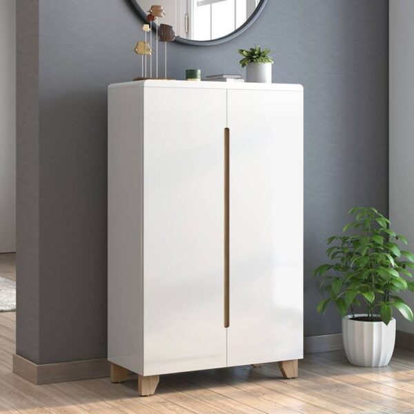 Tủ giày hai cánh có phù hợp với không gian phòng khách? 1 Tu-giay-hai-canh