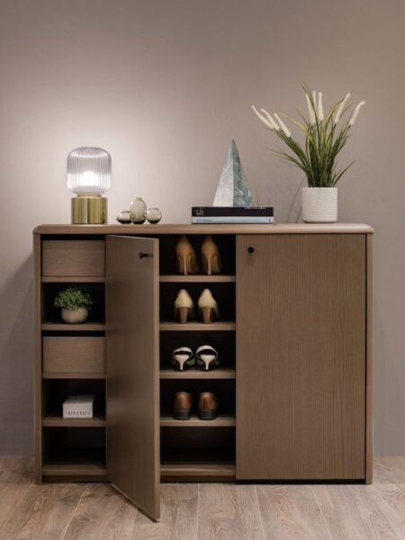 Mẫu tủ giày đang được gia đình trẻ săn đón nhiều nhất 4 Mau-Tu-Giay