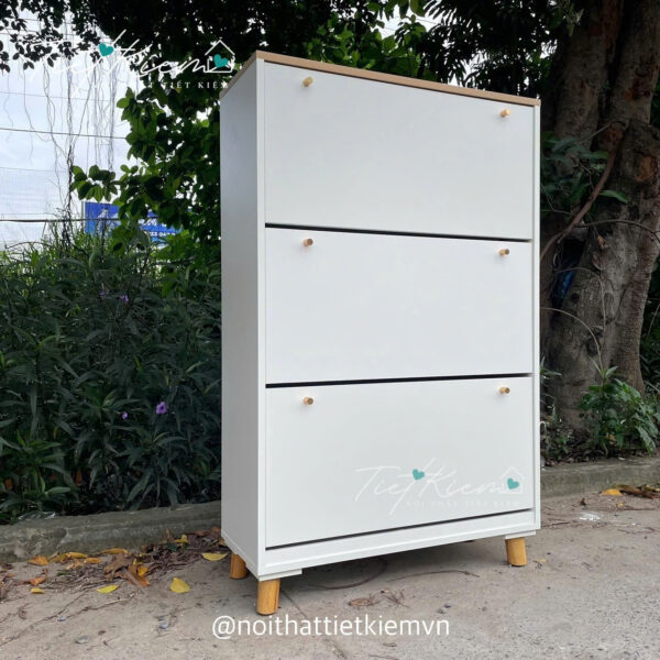 Tu-Giay-Bo-Tri-Loi-Ra-Vao