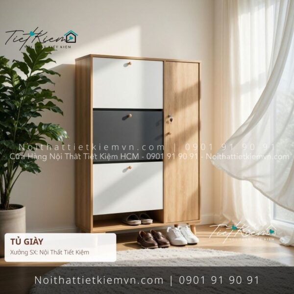3+ mẫu tủ để giầy đa năng đẽp giá rẻ 1 Tủ Giày Nội Thất Tiết Kiệm HCM