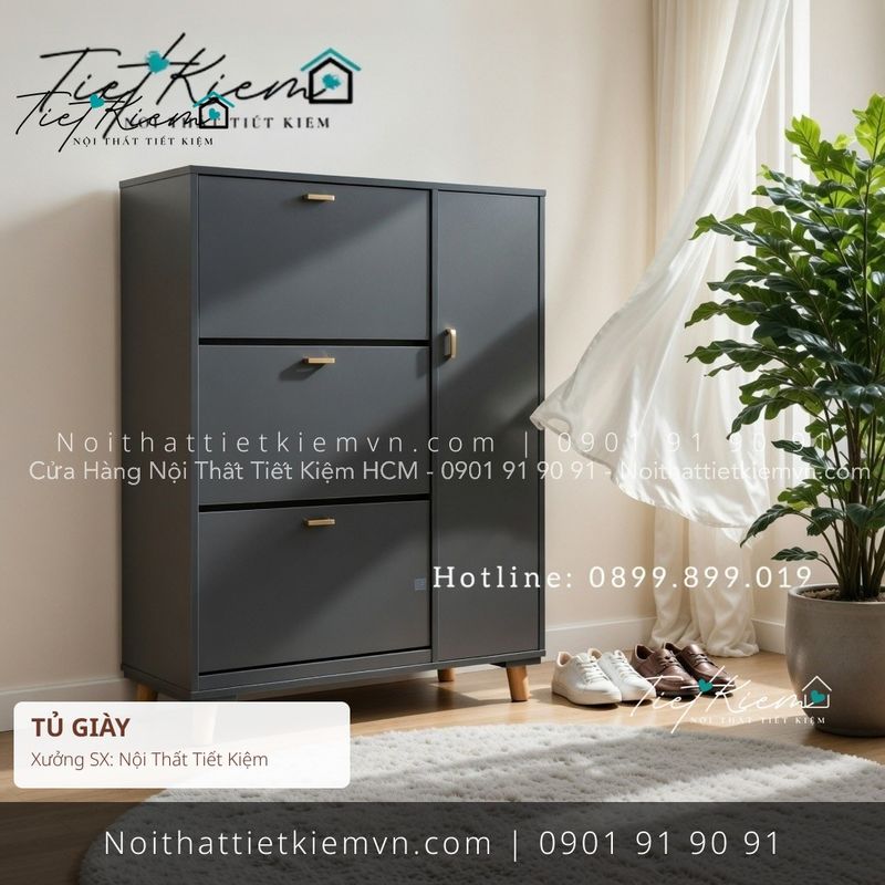 39 mẫu tủ giầy thông minh đa năng giá rẻ - Tủ Giày - Nội Thất Tiết Kiệm