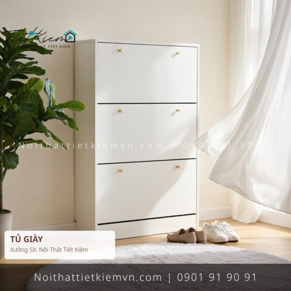 52+ mẫu tủ giầy dép studio HCM giá rẻ 1 Tủ Giày Nội Thất Tiết Kiệm HCM